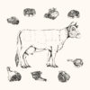 Colis 12 kg de vache race Parthenaise avec côte de bœuf