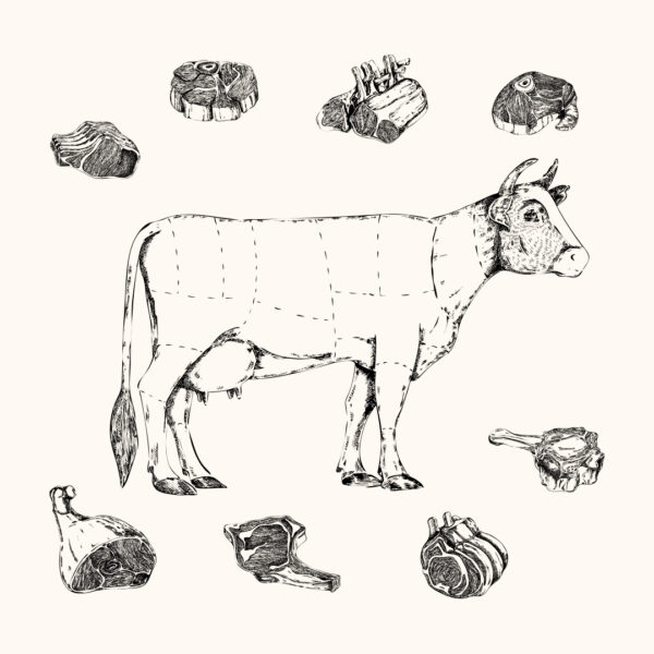 Colis 12 kg de vache race Parthenaise avec côte de bœuf